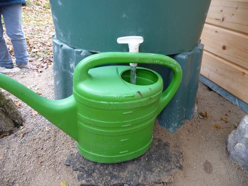 p1190297