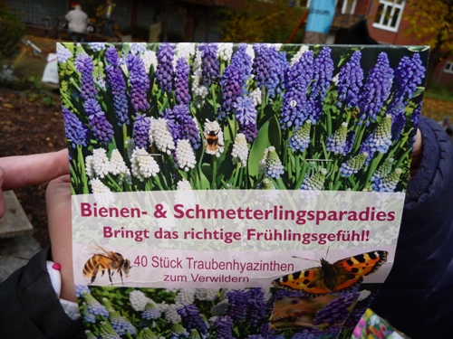 p1190350